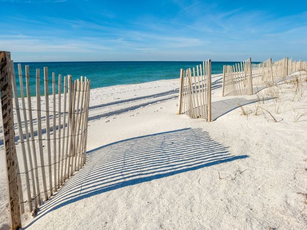 Alabama Beach Areas Home 1012000
