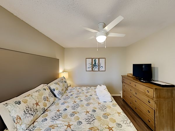 Alabama Beach Areas Home 1012002