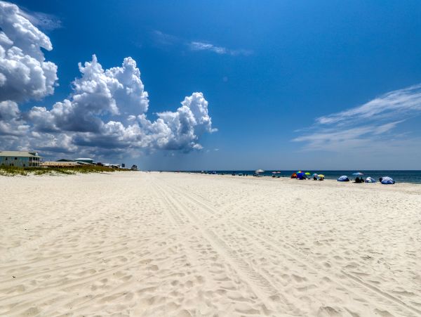 Alabama Beach Areas Home 1012014