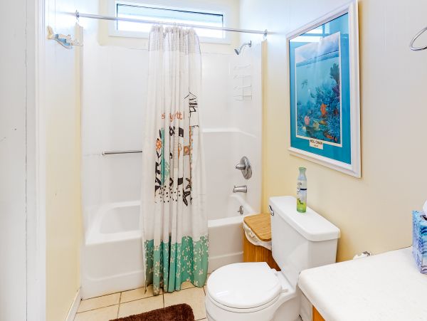 Alabama Beach Areas Home 1012021