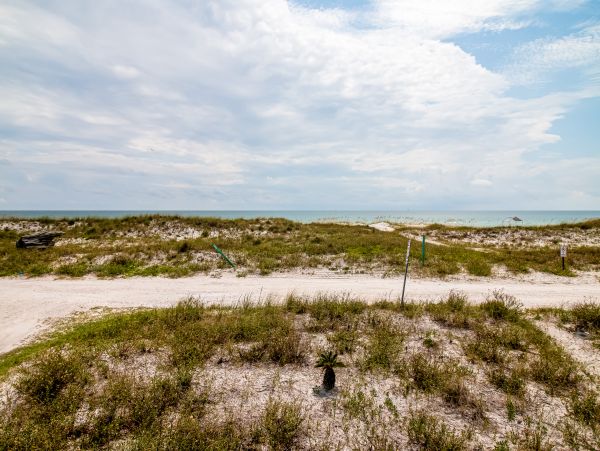 Alabama Beach Areas Home 1012021