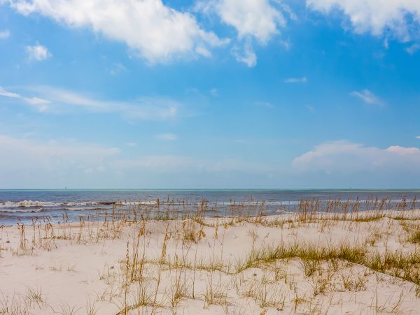 Alabama Beach Areas Home 1012021