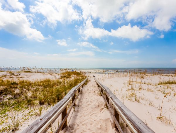 Alabama Beach Areas Home 1012046