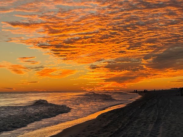 Alabama Beach Areas Home 1012047