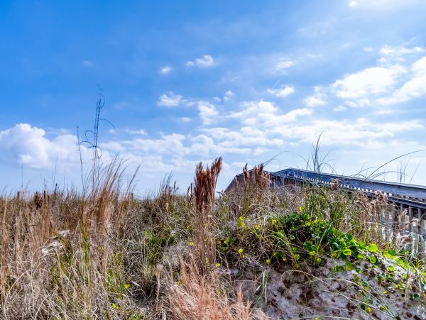 Alabama Beach Areas Home 1012048