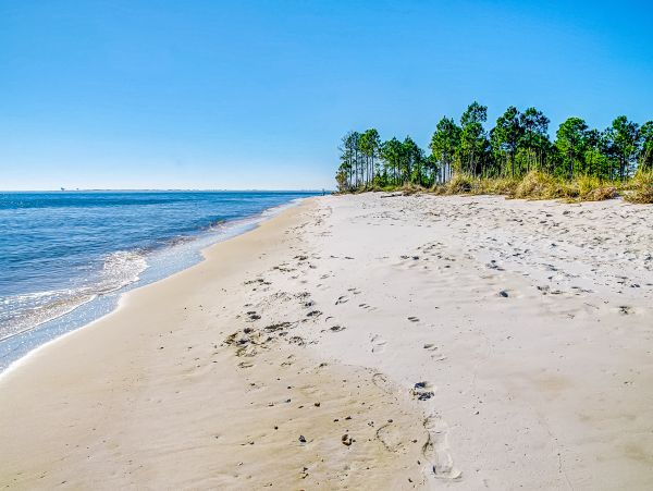 Alabama Beach Areas Home 1012058