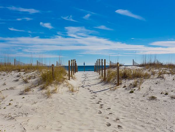 Alabama Beach Areas Home 1012063