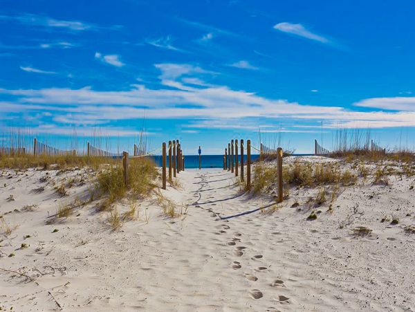 Alabama Beach Areas Home 1012065