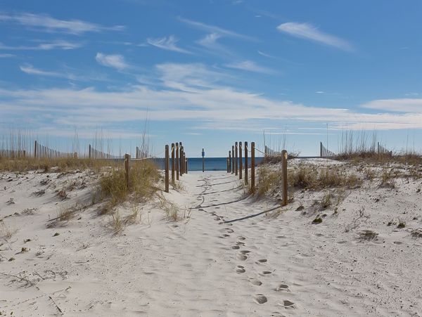 Alabama Beach Areas Home 1012066