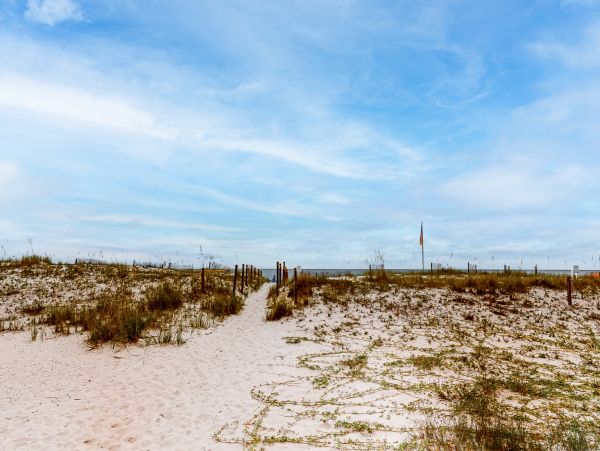 Alabama Beach Areas Home 1012067
