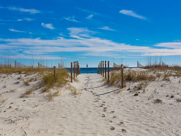 Alabama Beach Areas Home 1012069
