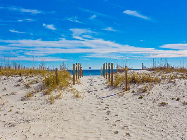 Alabama Beach Areas Home 1012070