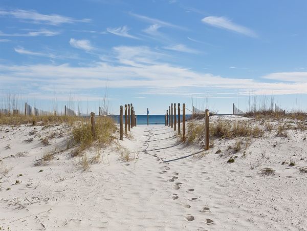 Alabama Beach Areas Home 1012073