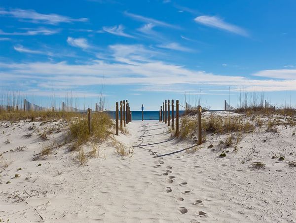Alabama Beach Areas Home 1012074