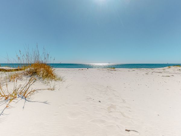 Alabama Beach Areas Home 1012078