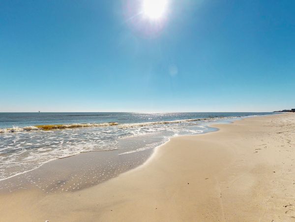 Alabama Beach Areas Home 1012081