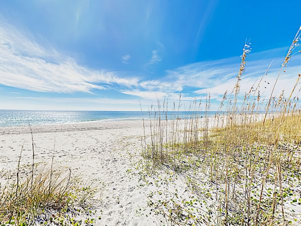 Alabama Beach Areas Home 1012083