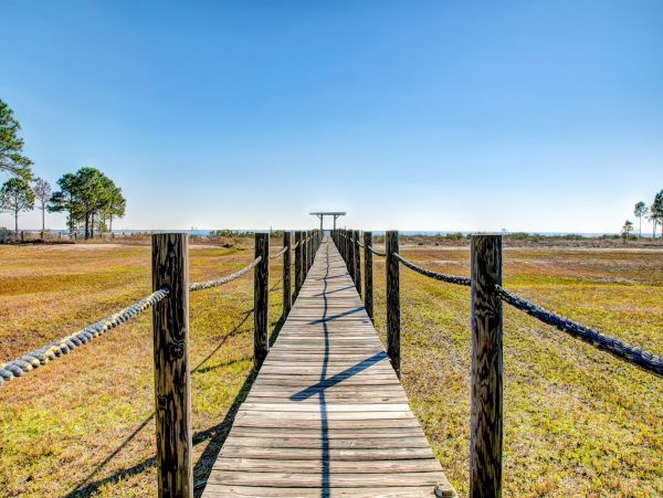 Alabama Beach Areas Home 1012084