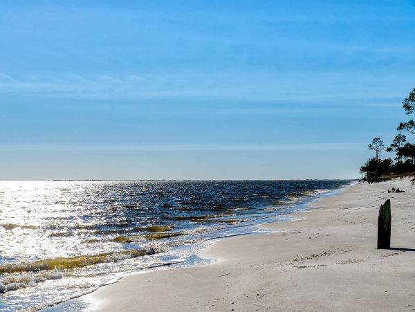 Alabama Beach Areas Home 1012084