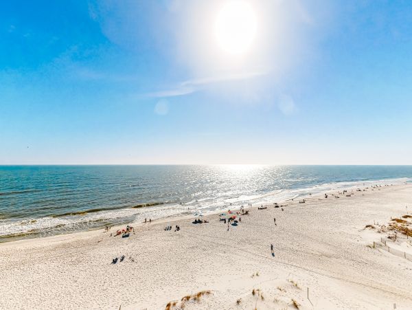 Alabama Beach Areas Home 1012100