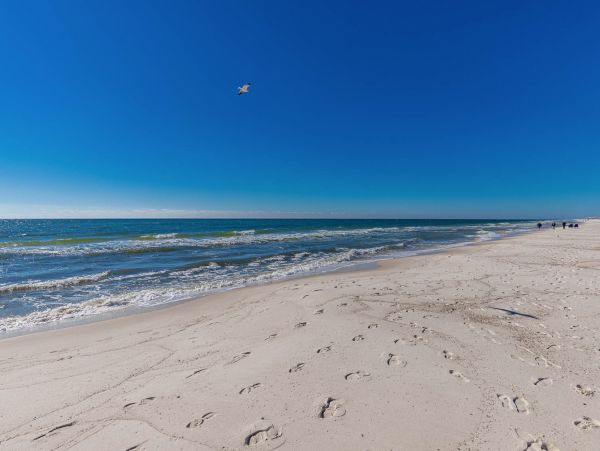 Alabama Beach Areas Home 1012106