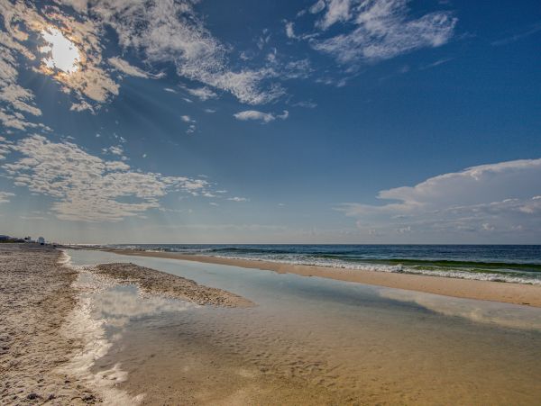 Alabama Beach Areas Home 1012108