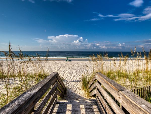 Alabama Beach Areas Home 1012110