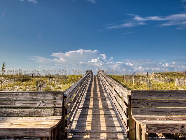 Alabama Beach Areas Home 1012111