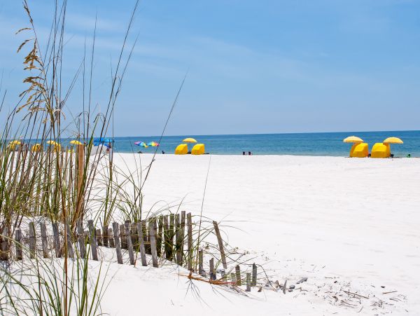 Alabama Beach Areas Home 1012126