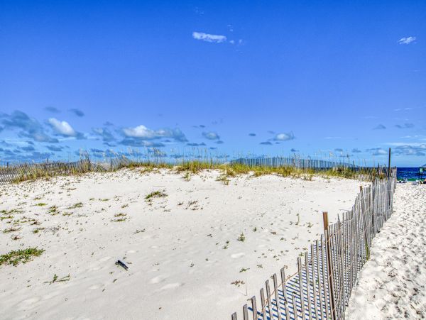 Alabama Beach Areas Home 1012132