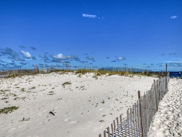 Alabama Beach Areas Home 1012136