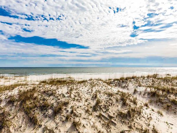 Alabama Beach Areas Home 1012141