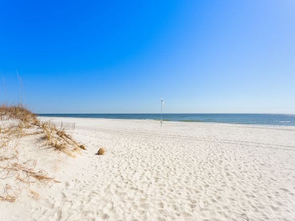 Alabama Beach Areas Home 1012146