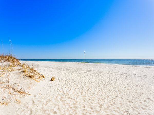 Alabama Beach Areas Home 1012147
