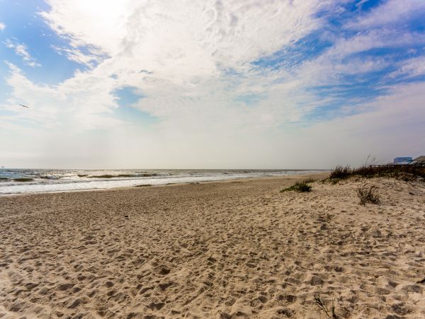 Alabama Beach Areas Home 1012152