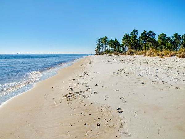 Alabama Beach Areas Home 1012155
