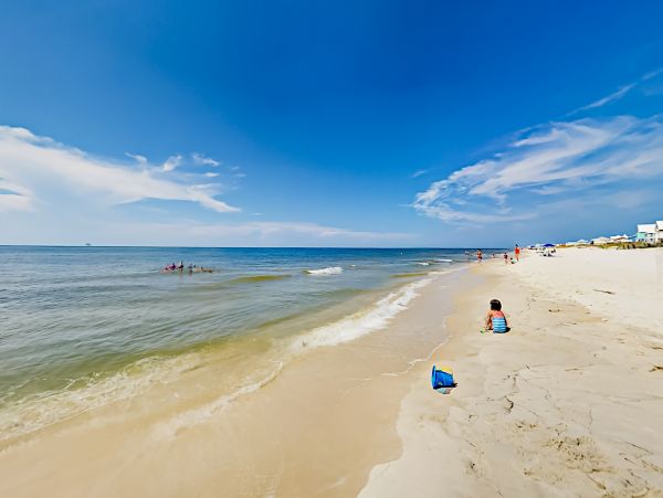 Alabama Beach Areas Home 1012161