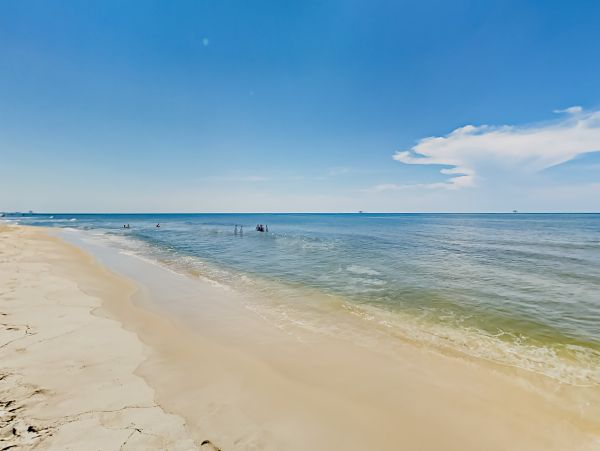 Alabama Beach Areas Home 1012161