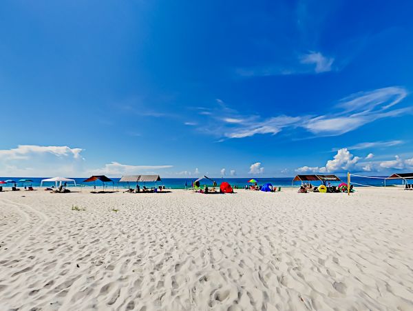 Alabama Beach Areas Home 1012162