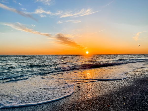 Lido Key Vacation Rental - Sarasota Beach Condo Near St. Armands Circle