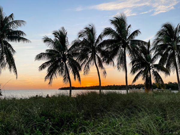 Lido Key Vacation Rental - Sarasota Beach Condo Near St. Armands Circle