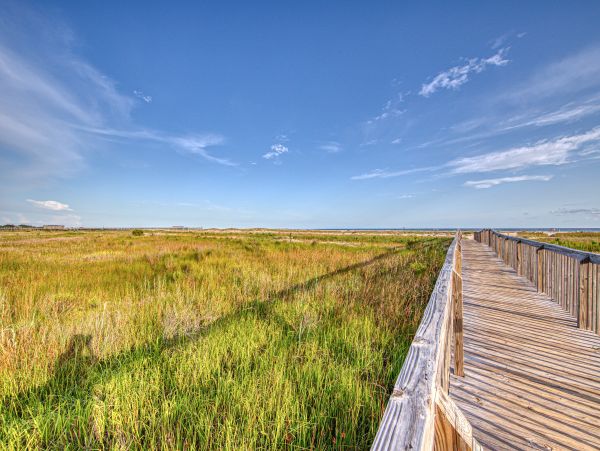 Alabama Beach Areas Home 1012187