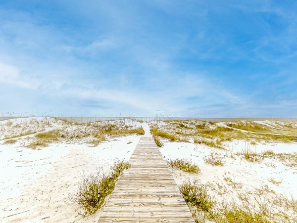 Alabama Beach Areas Home 1012191