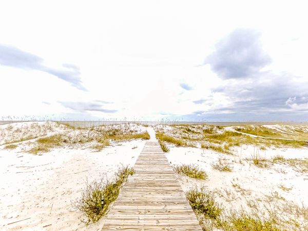 Alabama Beach Areas Home 1012191