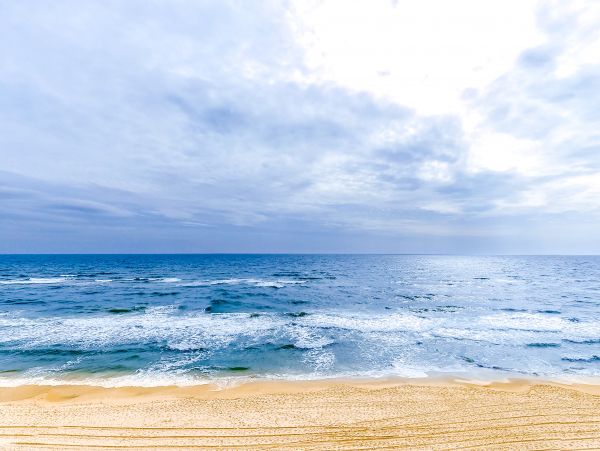 Alabama Beach Areas Home 1012198