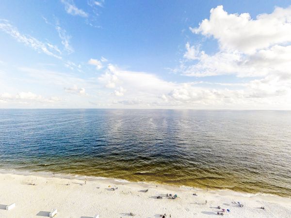 Alabama Beach Areas Home 1012207