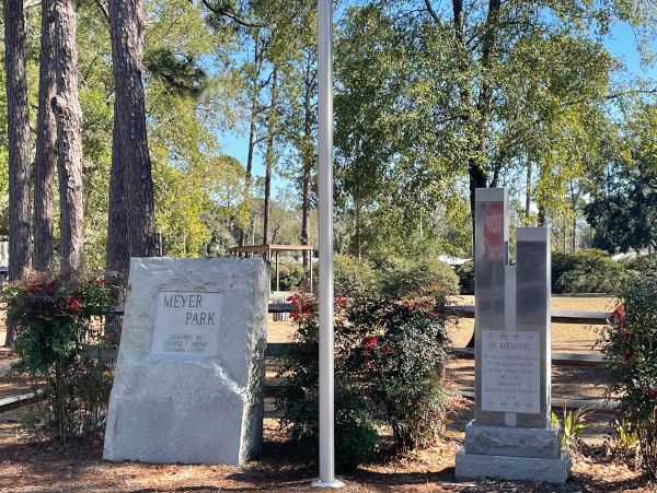 Alabama Beach Areas Home 1012243