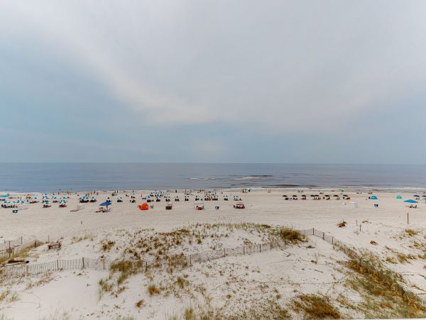 Alabama Beach Areas Home 1012303