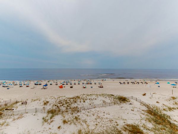 Alabama Beach Areas Home 1012303
