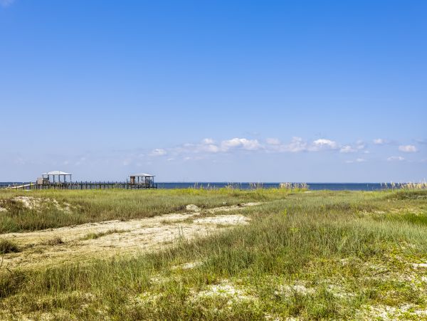 Alabama Beach Areas Home 1012372